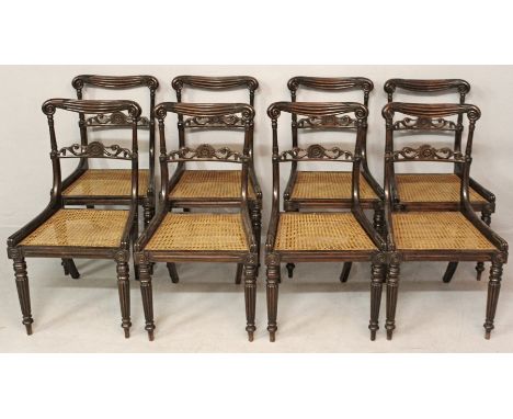A SET OF EIGHT LATE REGENCY POSSIBLY ROSEWOOD  DINING CHAIRS, the sash carved tops with scrolls above pierced carved splats, 