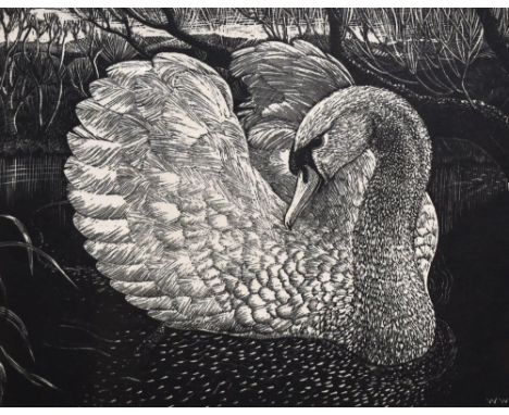 20th Century, woodblock print, Swan, initials 'W.W.' to the lower right, framed, mounted, and under glass, measuring 15cm x 2