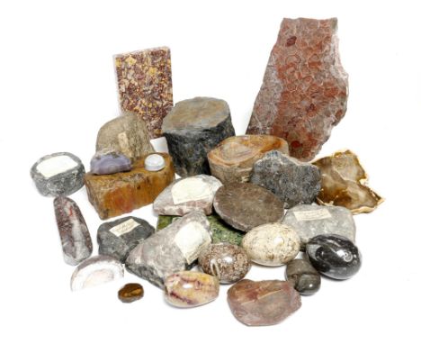 A collection of mineral fossils and hardstone specimens, including: blue john, Moroccan cuttlefish fossil egg, agate, corals,