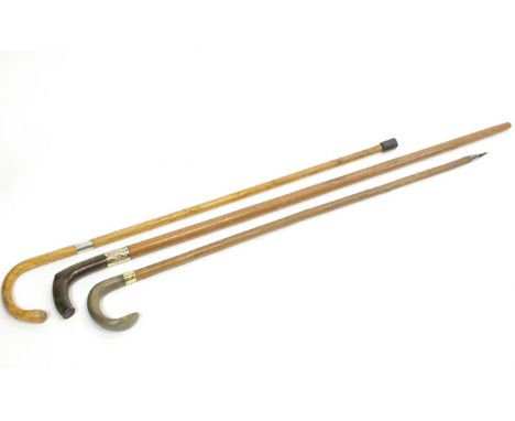 Three walking sticks, two with white metal collars, one being a hiking stick, 104.5cm long and shorter