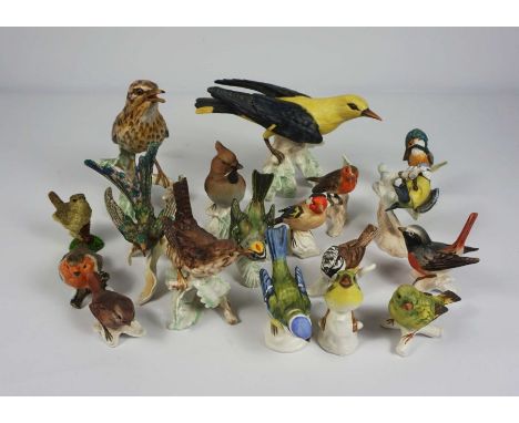 A group of assorted Goebel figures of birds, including a Golden Oriole, Thrush, Blue Tit, Kingfisher and other assorted birds