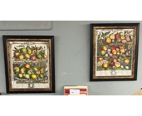 Pair of framed botanical prints 