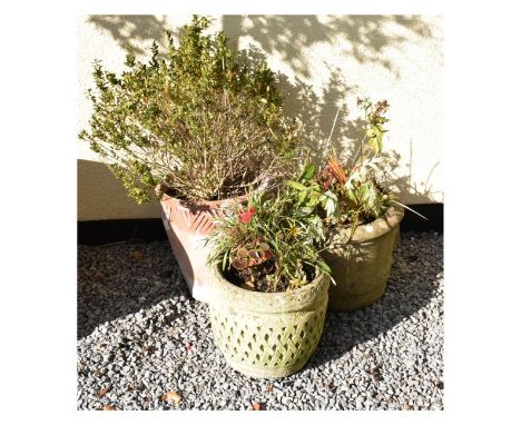 Three various garden pots  