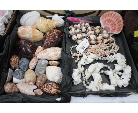 2 boxes of shell jewellery and shells (692 12/22)