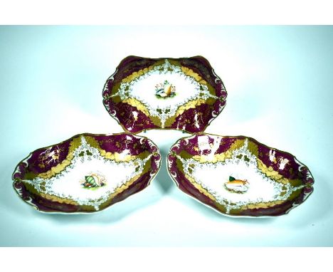 Three Georgian Spode felspar porcelain serving dishes, painted with seashells within cream and puce borders, highlighted with