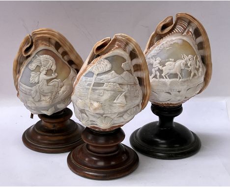 3 carved cameo conch shell table lamps.