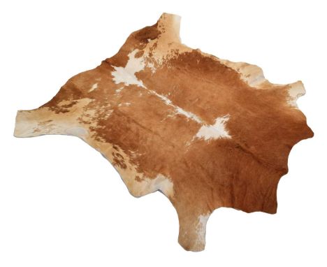 Taxidermy: Nguni Cow Hide Rug, (Bos taurus), modern, South Africa, AA Grade, Nguni hide floor rug with caramel brown &amp; wh