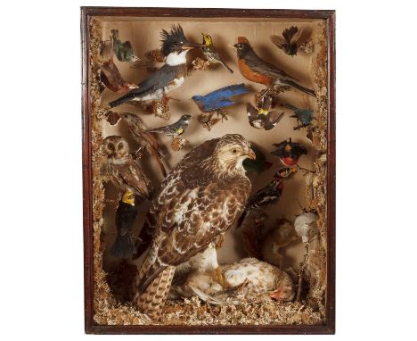 Taxidermy: A Cased Diorama of Birds Native to North &amp; South America, circa 1880-1920, a cased diorama of various birds to