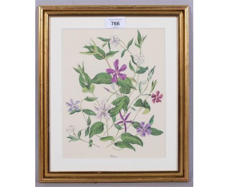John Nash (1893-1977) lithograph in colours on paper, Vinca, 24cm x 19cm, from his English Garden Flowers suite, one of twelv