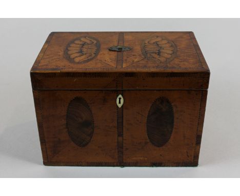 A George III satinwood rectangular tea caddy with oval shell double panel hinged top and oval panel decorated sides (now as a