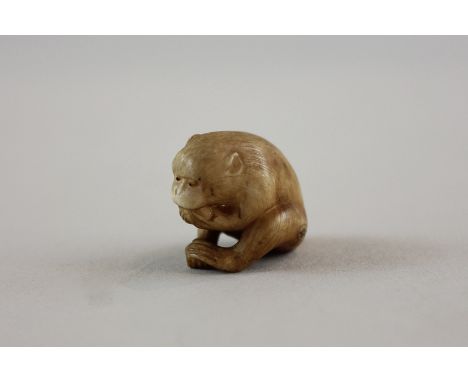 A late 19th, early 20th century small ivory netsuke in the shape of a monkey eating a nut bears character mark to side