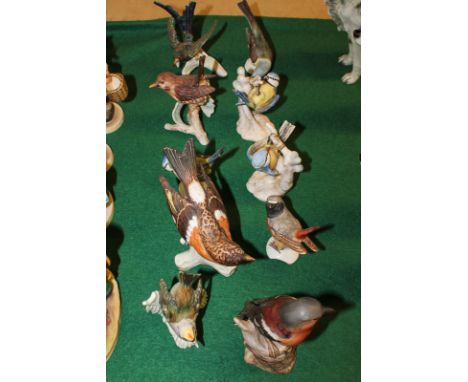 Goebel, ten porcelain models of garden birds including firecrest, bluetits, wren and a chaffinch