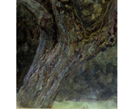 HELEN PATERSON (later HELEN ALLINGHAM), RWS (1848-1926) CYDER APPLE TRUNK Apparently inscribed verso H. Paterson/ Cyder Apple