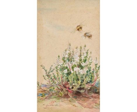 § KATHERINE CAMERON (1874-1965) FLOWER OF THE HEATHER pencil, watercolour and gouache, signed lower left K. CAMERON, bears ar
