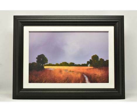 BARRY HILTON (BRITISH 1941) 'ENDURING LIGHT', a signed limited edition print on board, depicting a stream running through a g