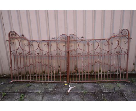 A PAINTED WROUGHT IRON GATE, with scrolled details, each gate length 139cm x height 124cm (condition: weathered, ideal for a 
