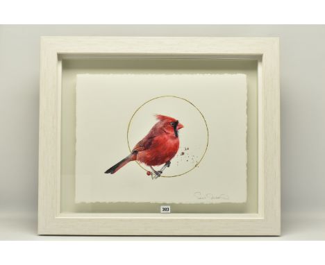 SARAH STOKES (BRITISH CONTEMPORARY) 'GILDED MALE CARDINAL', a study of a red bird on a branch, encircled by a gold coloured b