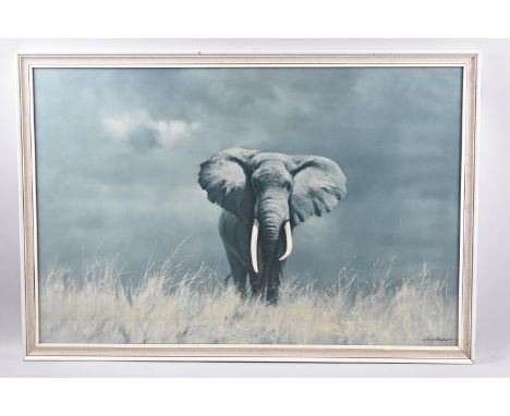 A Framed David Shepherd Print, Wise Old Elephant, 74x49cm 
