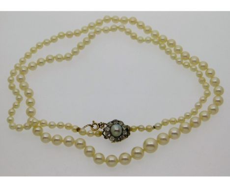 A set of cultured pearls with a 19thC. 9ct clasp set with approx. 0.5ct of old cut diamonds &amp; a central natural pearl of 