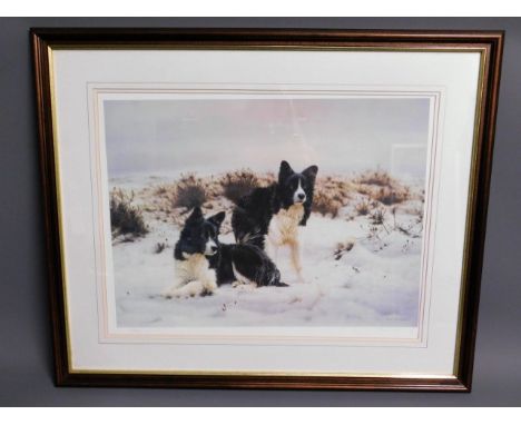 A framed signed limited edition 357/600 Stephen Townsend print of collie dogs, image size 22in x 16.5in 