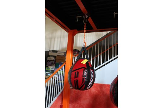 Revgear Wrecking Ball Heavy Bag And Clamp