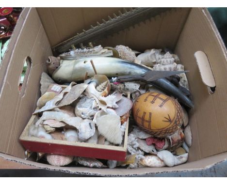 BOX CONTAINING VARIOUS SHELLS AND FOSSILS, ETC. 