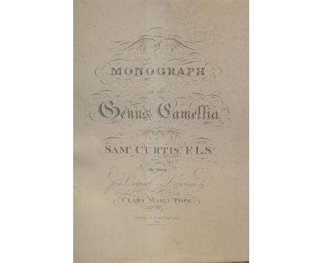 A large facsimile volume "Monograph on the Genus Camellia" by S. Curtis from the original drawings of C. M. Pope containing f