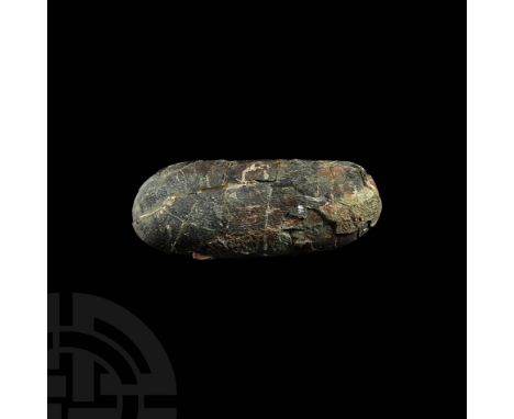 Late Cretaceous Period, 88-71 million years BP. A fossil Oviraptor philocerataops egg; from the Gobi Desert, Mongolia.  945 g