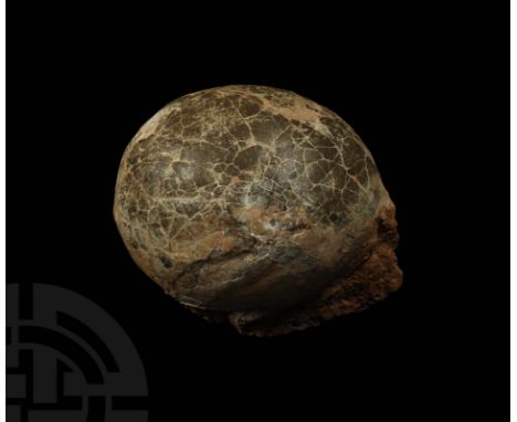 Late Cretaceous Period, 100-66 million years BP. A large Charonosaurus sp. hadrosaur egg on matrix retaining evidence of the 