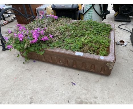 A SALT GLAZED TROUGH WITH AN ASSORTMENT OF ROCKERY PLANTS 