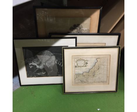 A GROUP OF VINTAGE FRAMED PRINTS TO INCLUDE A MAP OF THE MEDITERRANEAN SEA, RACCOON, PENCIL SIGNED ENGRAVINGS ETC 