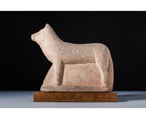 Ca. 600 - 300 BC.A limestone votive cow, standing on four legs with a smooth underside. The head is simply detailed, with sma