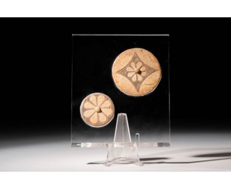 New Kingdom, 20th Dynasty, Ca. 1196 - 1070 BC.A pair of two rosettes, including one white with a brown background, featuring 