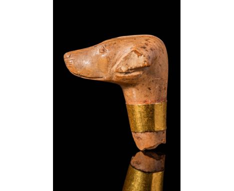 Middle Kingdom, Ca. 1938 - 1758 BC. A carved bone head of a dog with a pointed snout and shallowly incised nostrils. The almo