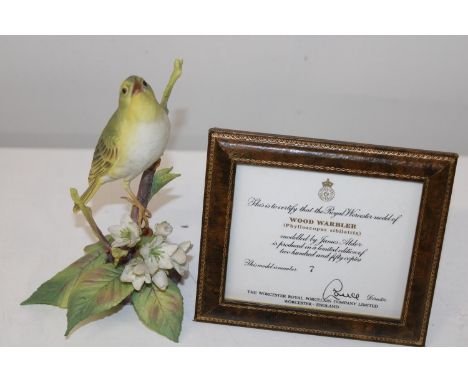 A Royal Worcester wood warbler limited edition 7/250by James Alder 