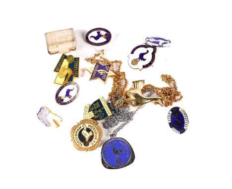 Tottenham Hotspur pins, to include ten enamel pins; two necklaces; and a Coffer London miniature book containing squad photog