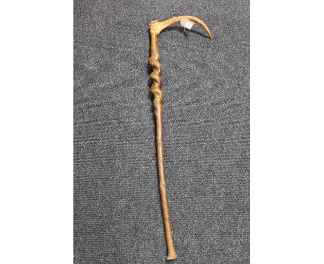 A walking stick with antler handle 