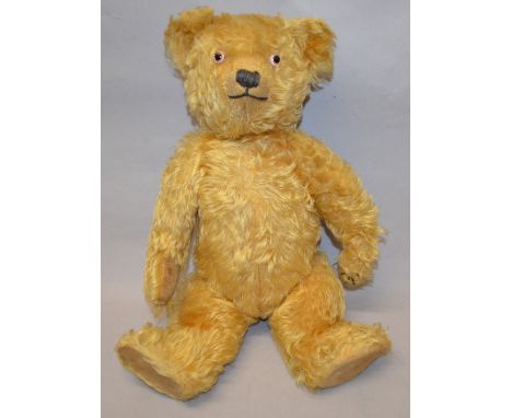 1950s Chiltern bear (G)