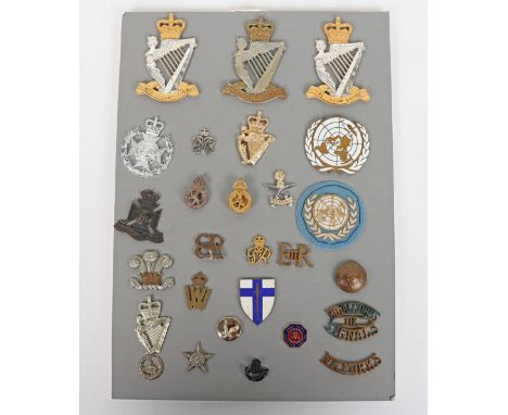 Board of British Military Badges, including EIIR North Irish Brigade headdress badge, Royal Irish Rangers headdress badges, e