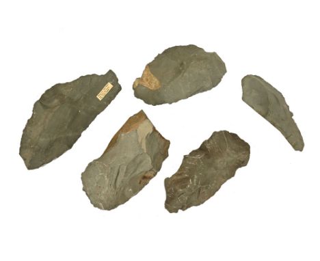 Five stone axe heads, one with attached label "Stone axe head (reject from stone age factory) Pike O Stickle Langdale", varyi