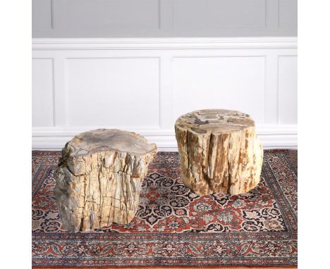A PAIR OF PART POLISHED PETRIFIED WOOD STOOLS Each trunk sliced in cross section, with textured edges 42cm high, 50cm wide, a