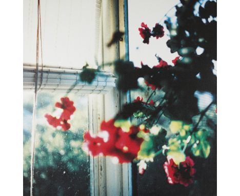 Jack Pierson (American, b. 1960). Large print on canvas mounted to board titled "Ricki Tivi Tavi" depicting red flowers again