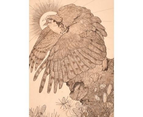 Edward Julius Detmold (1883-1957), 'The Falcon', etching, plate size 9" x 6.5" (23 x 16.5cm), along with three smaller etchin