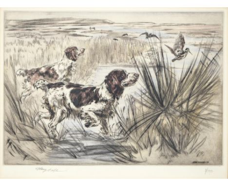 Henry Wilkinson (1921-2011) - Springer Spaniels; Retriever with Mallard, two, etchings, hand coloured, both signed by the art