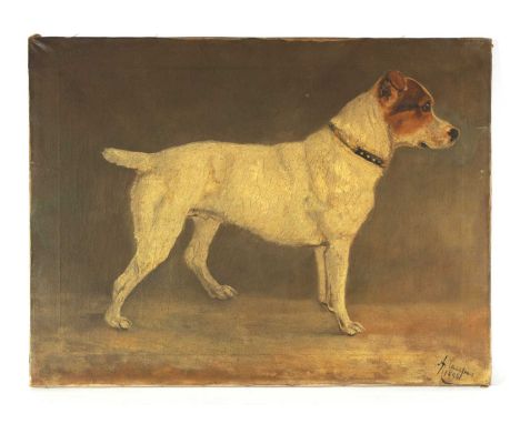 A LATE 19TH CENTURY OIL ON CANVAS STANDING PORTRAIT OF A JACK RUSSEL - signed and dated 1898 59.5cm wide 45cm high 