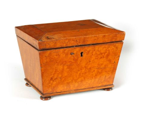 A LATE GEORGIAN BURR MAPLE SARCOPHAGUS TEA CADDY the chamfered lid enclosing a divided lidded interior, on flattened turned b