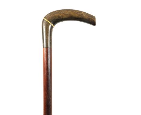 A LATE 19TH CENTURY RHINOCEROS HORN HANDLED WALKING STICK the two-section handle on a mahogany shaft.85cm overall 