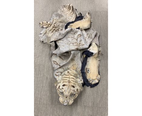 An antique tiger skin rug, circa 1900's.