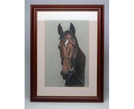 NIGEL W BRUNYEE (20th Century), Head Portrait of the horse "Moonshell", pastel, signed and inscribed, 24 1/2" x 16", framed  