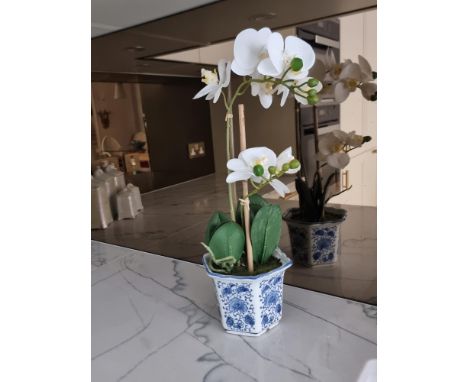 Artificial Silk Phalaenopsis (Orchid) In A Blue/White China Pot 40cm (Apt 10)
